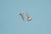 
                                            Stainless steel screws for metal 4,2 x 16 mm
                                    